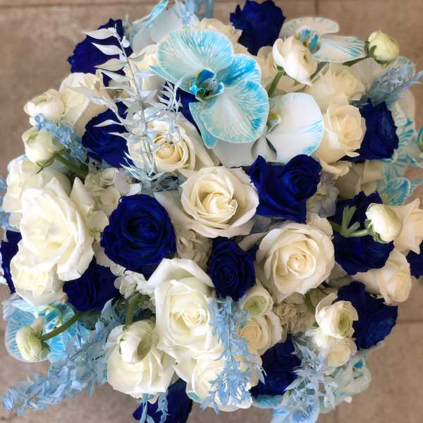Baby bloom