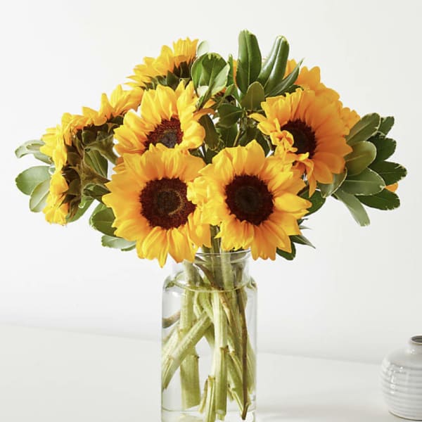 Fresh Lemonade Bouquet
