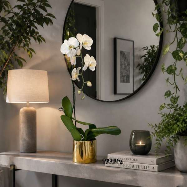 Opulent Orchid Miami