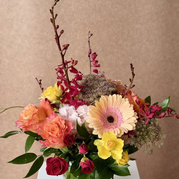 Alesia