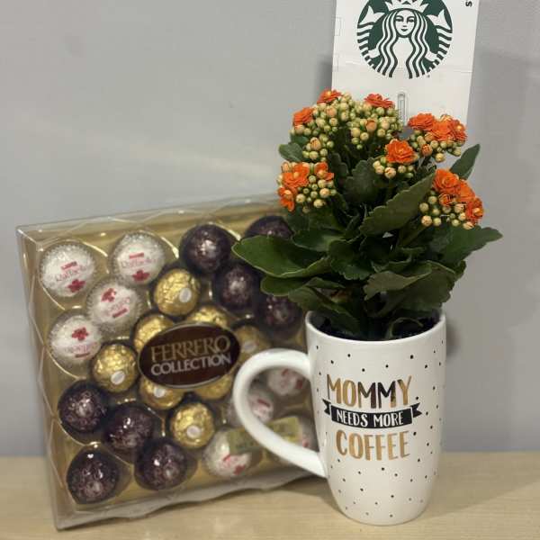 Mommy Needs Coffee Trio