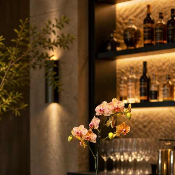 Prestigious Orchid Miami