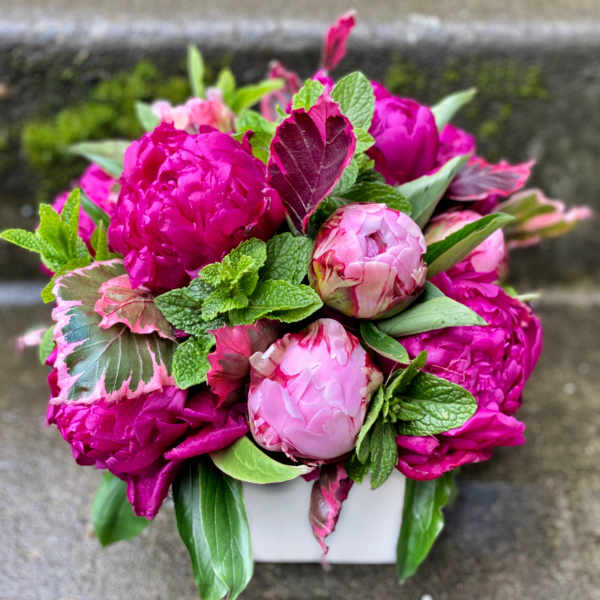 Pink peonies arranged in a white container