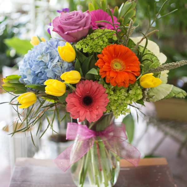 Francine