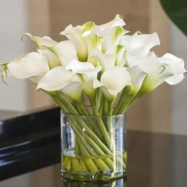 Pure Elegance- Calla Lily's