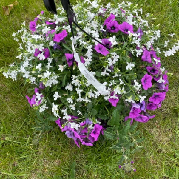 Purple and white floral grave saddle on grass with a black hanger