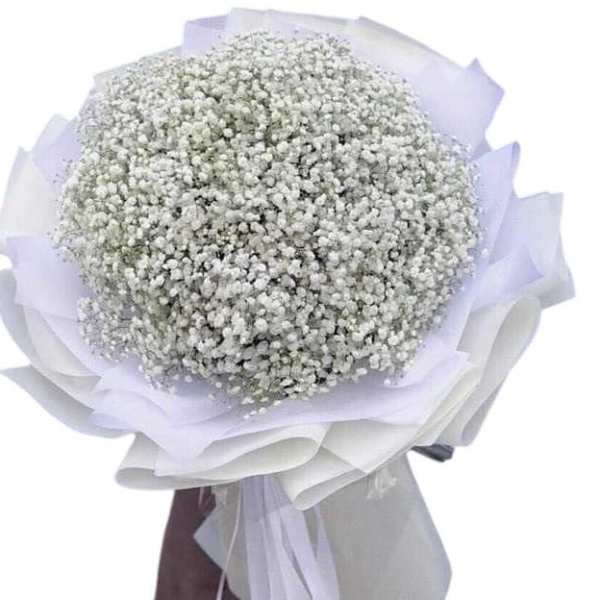 White and very fluffy cloud of gypsophila flowers.