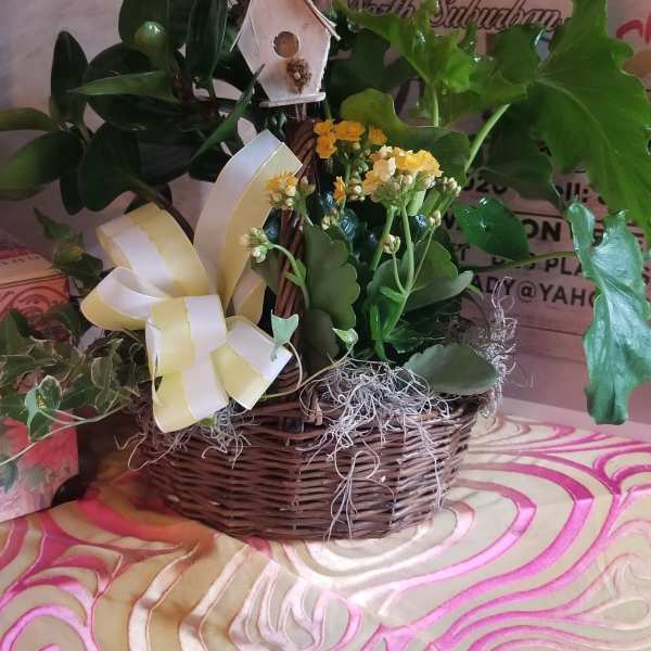 Basket arrangement with yellow flowers, succulents, and a birdhouse ornament