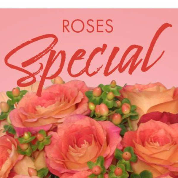 Half Dozen Roses Special