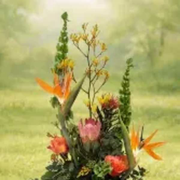 Island Lovin Mom