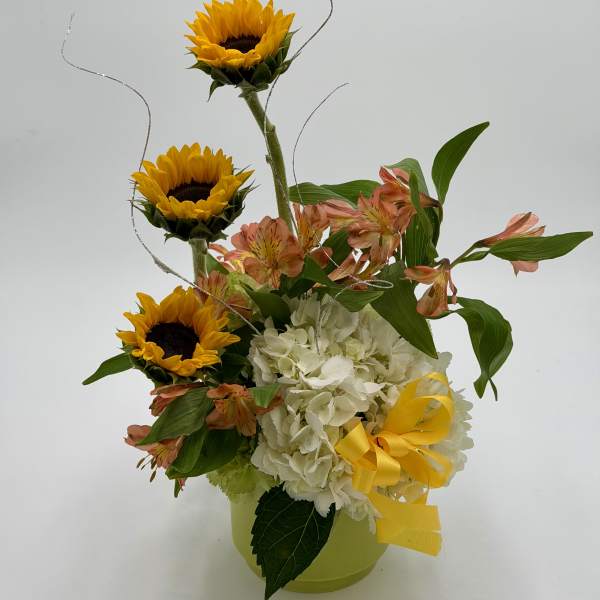 Sunshine and Grace