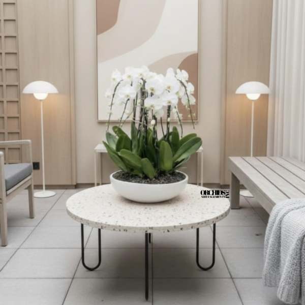 White orchid arrangement in a shallow white bowl on a table