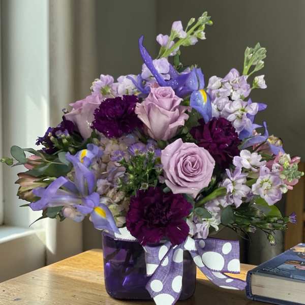 Plum Crazy