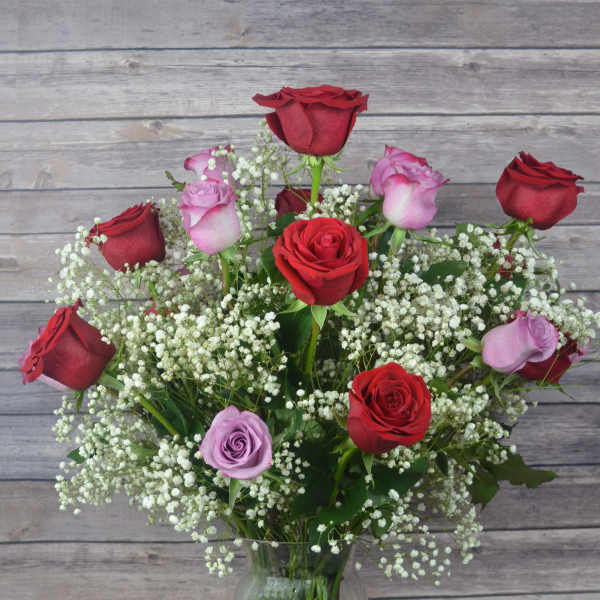 Red and lavender roses in a glass vase with white baby's breath