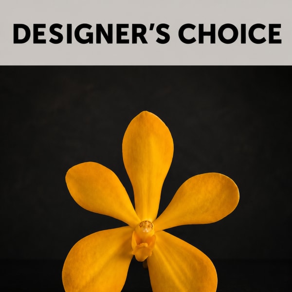 Designer’s Choice