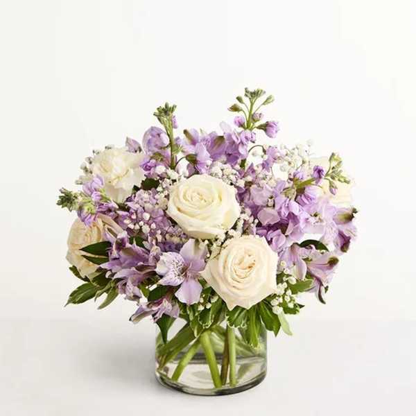 Lovely Lavender Medley™
