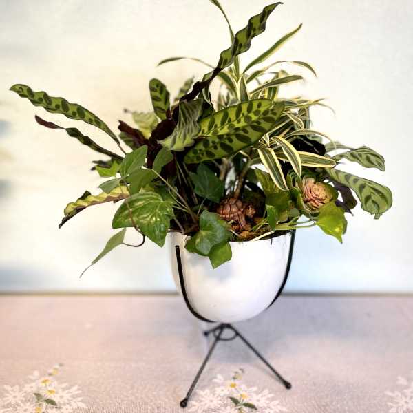 Potted tropical plant arrangement in a white stand planter