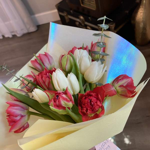 Bouquet of pink, red, and white tulips wrapped in pale paper