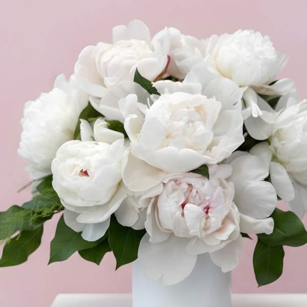Perfect Peonies