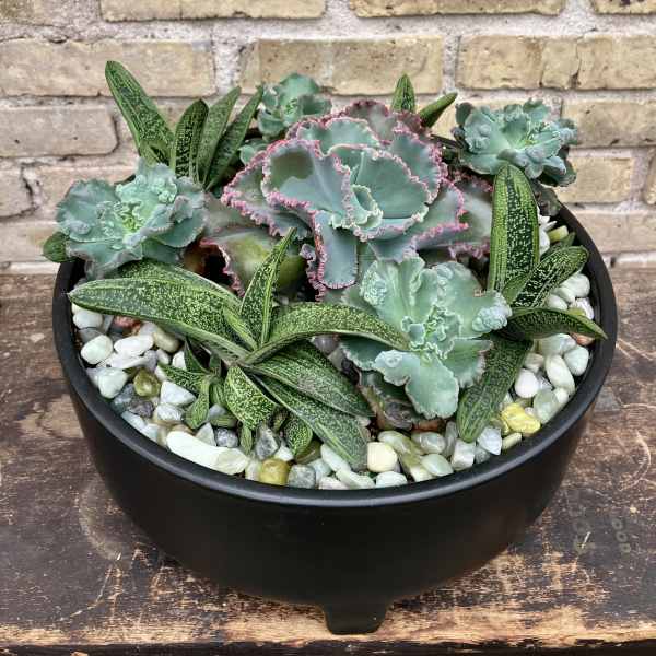 Santa Fe