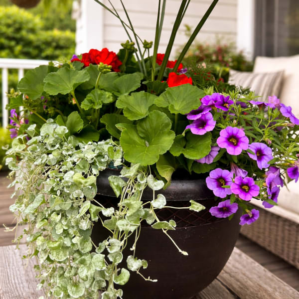 Summer Porch Pot