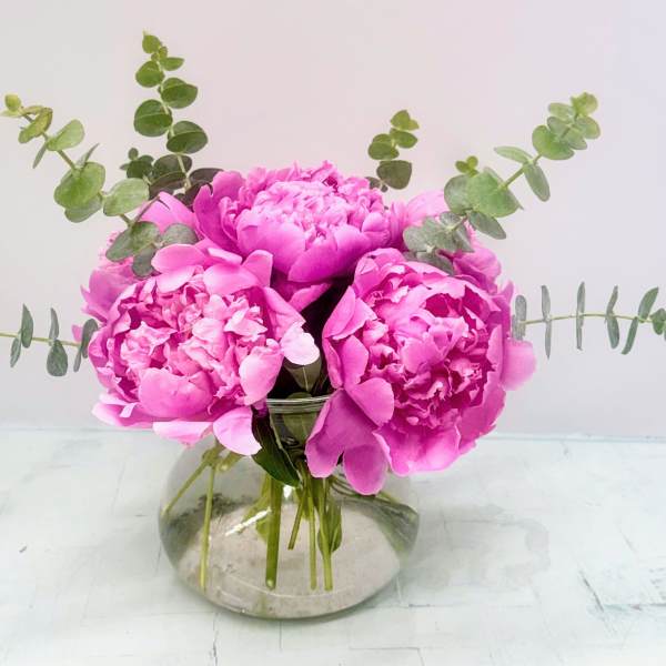 Pink peonies in a clear glass vase with eucalyptus stems