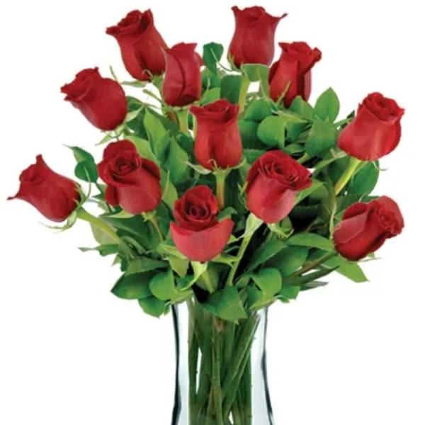 Simplicity Roses
