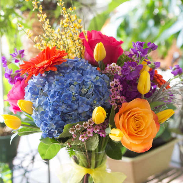 Jenny