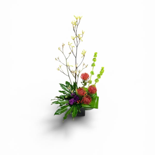 Petal Perfection’s Pretty Protea