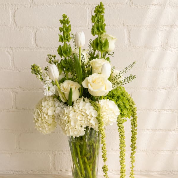 Bianca