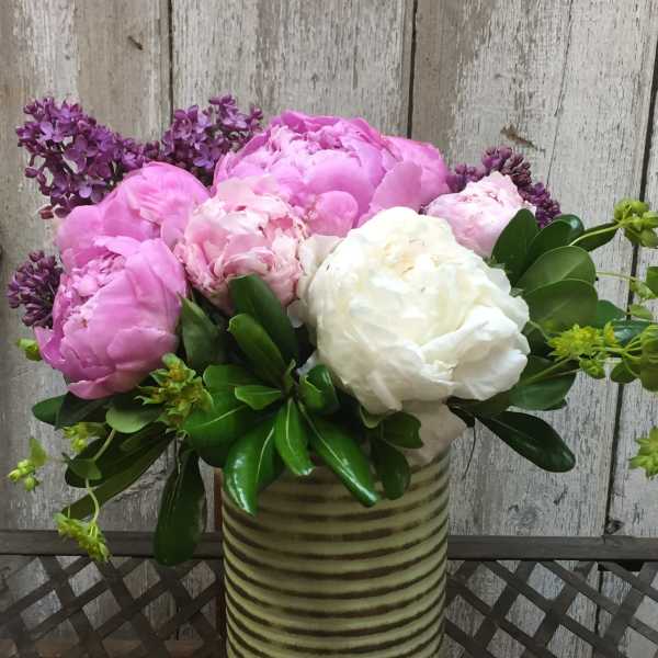 Pink and white peonies in a striped ceramic vase with purple lilac accents