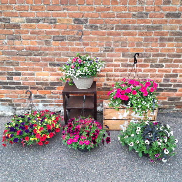 Outdoor Hanging Basket