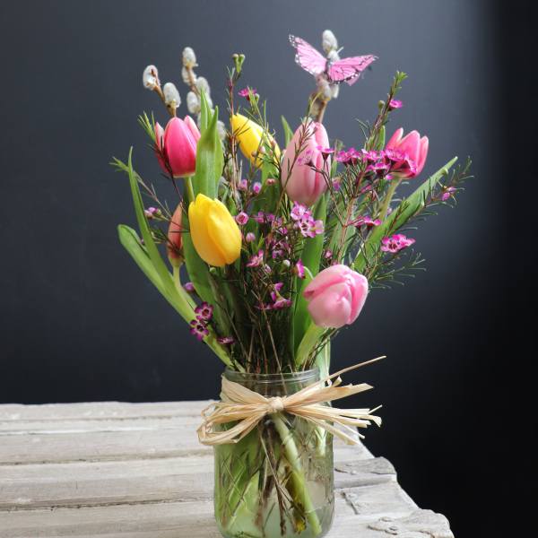 Tulip Melody