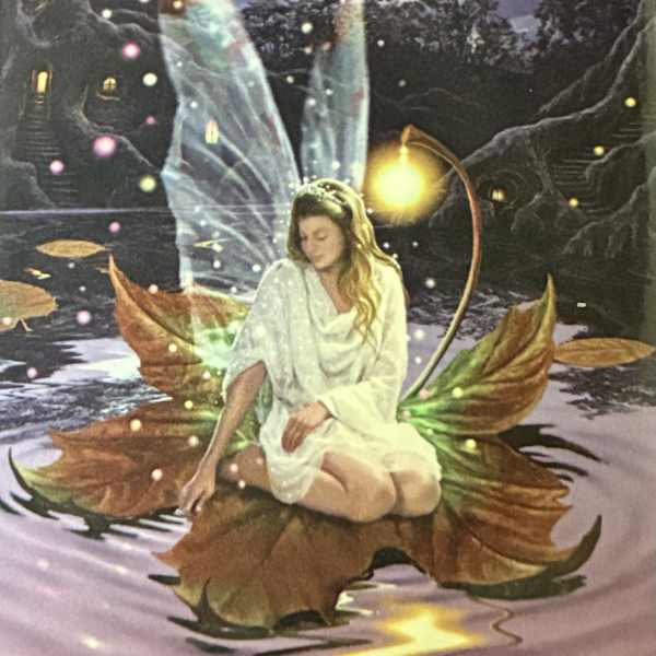 Fairy Magnet