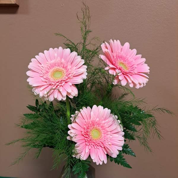 Pink gerbera daisies in a dark glass vase with airy greenery