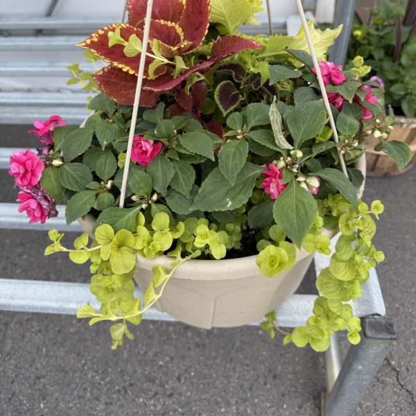 12 Inch Hanging Basket