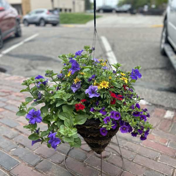 Hanging basket of purple, yellow, and red flowers in a wire stand