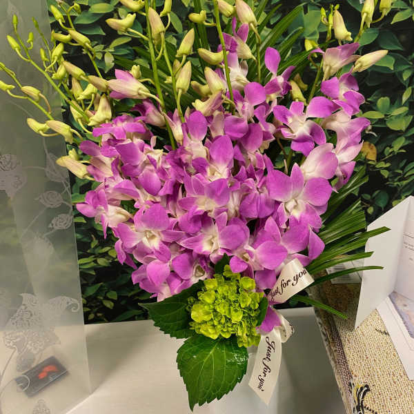 Purple orchids arranged in a white vase with a green hydrangea accent