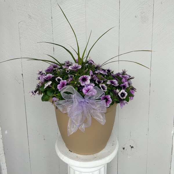 Petunia Patio Pot