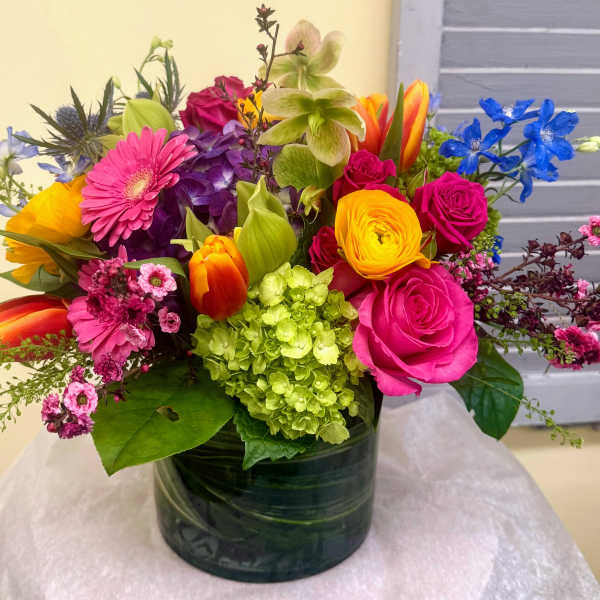 Lana's Spring