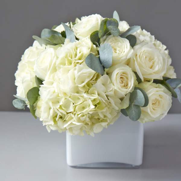 Classic Elegance