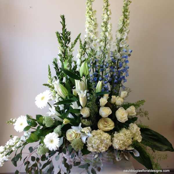 White Elegance