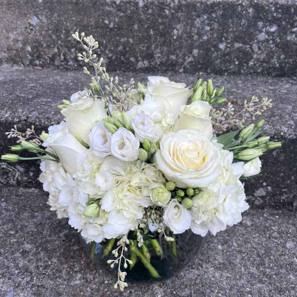 White Bliss