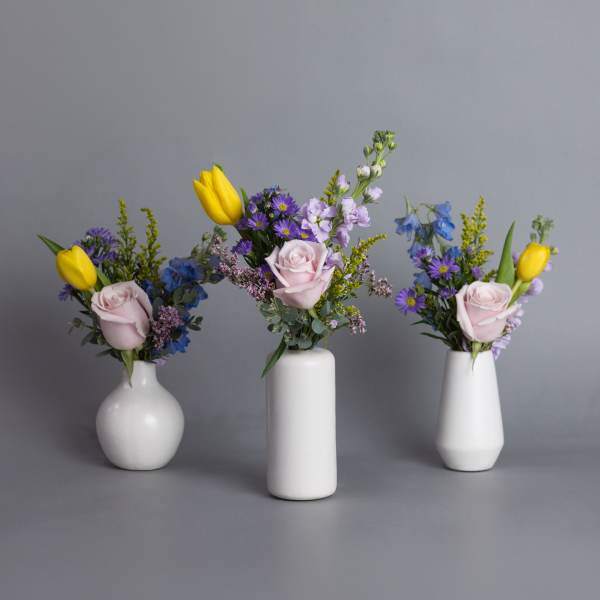 Sunday Brunch Trio