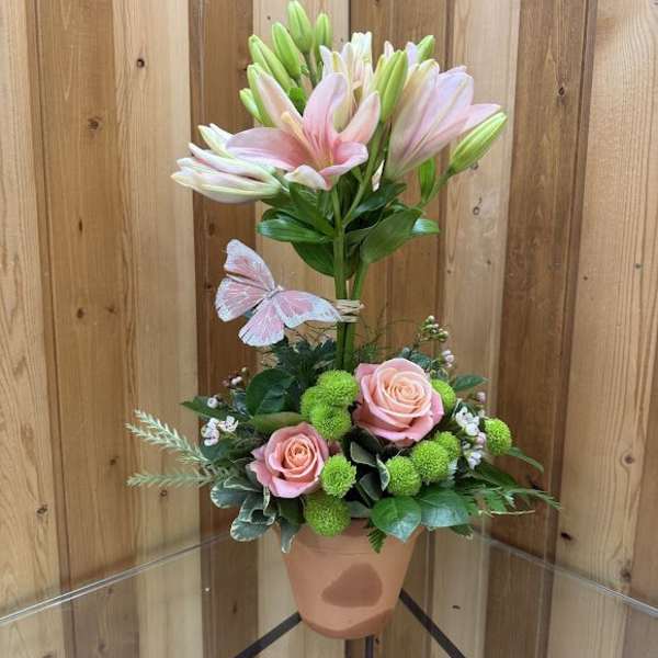 Blossoming Beauty