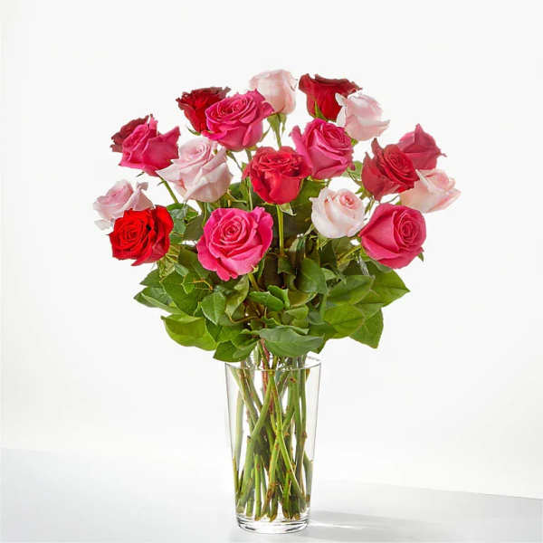 Bouquet of pink, red, and white roses in a clear glass vase