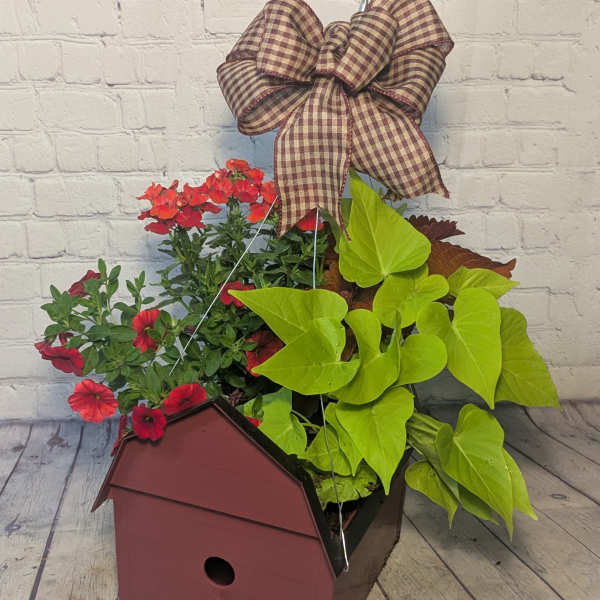 Blooming Birdhouse Hanging Basket