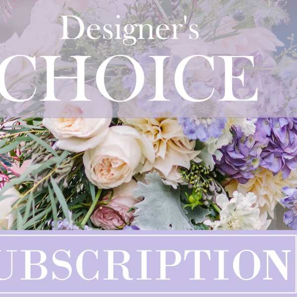 Designer's Choice Monthly Subscription - 3 Months