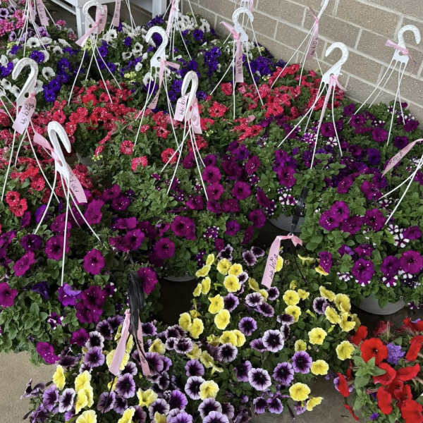 Outdoor Hanging Basket