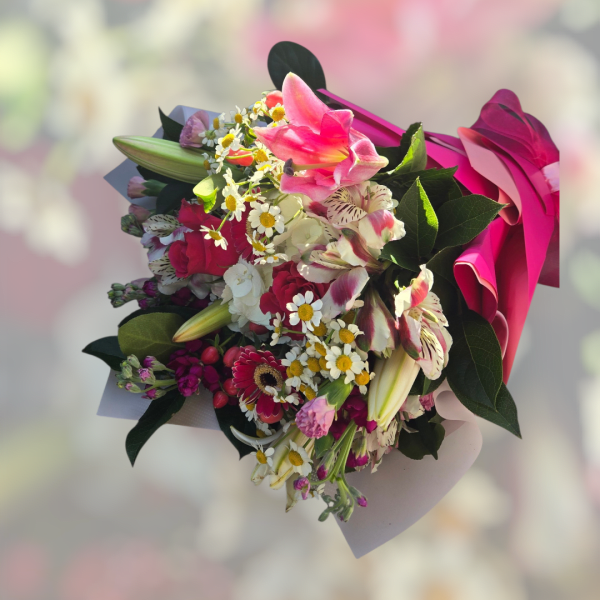 Blush and Bordeaux